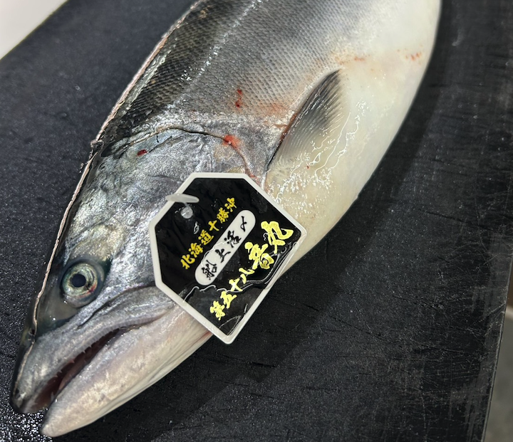 春の味覚「サクラマス」で楽しむ贅沢な高級寿司ディナー