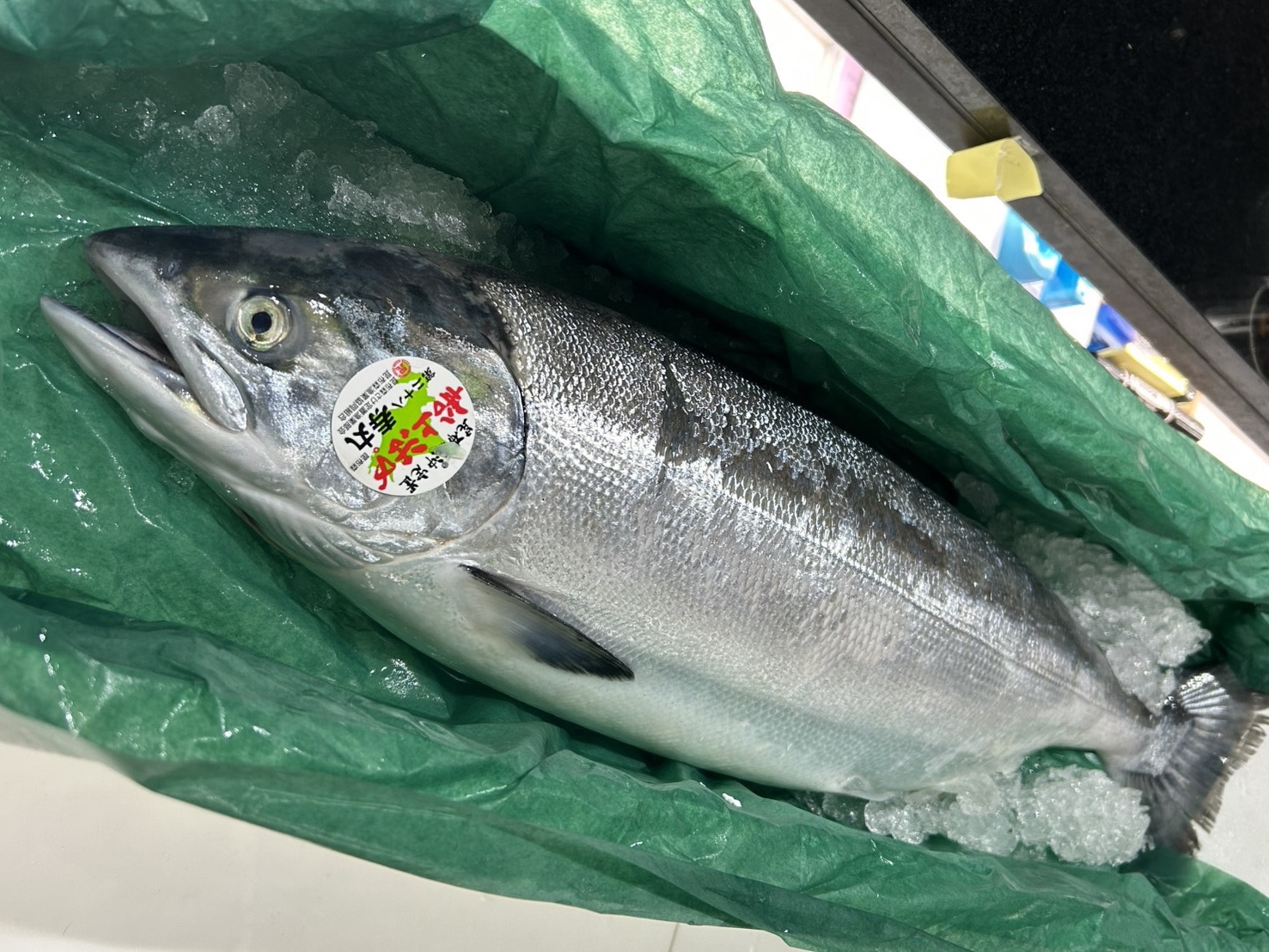 『鮭 時しらず』高級寿司で味わう旬の逸品